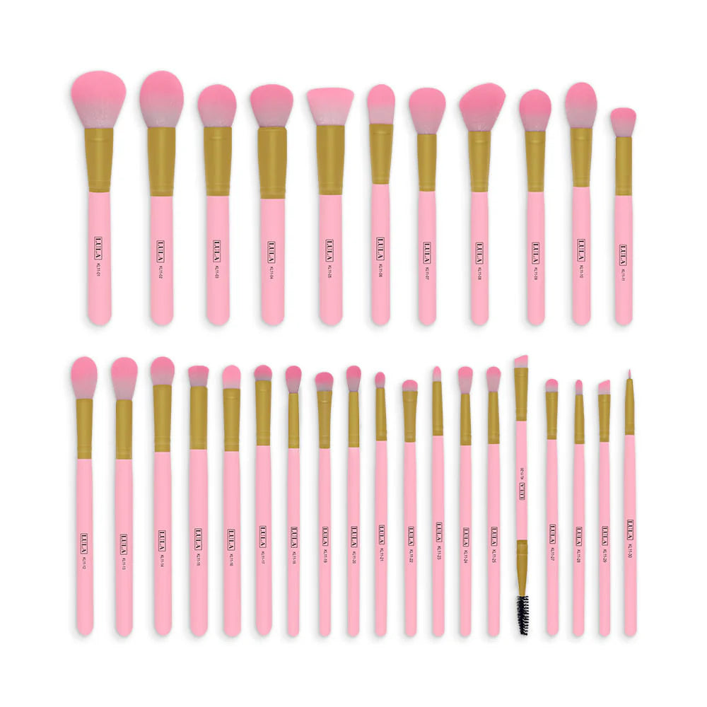 Kit de Brochas x 30 - Lula